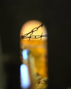 Filo spinato Grande Guerra